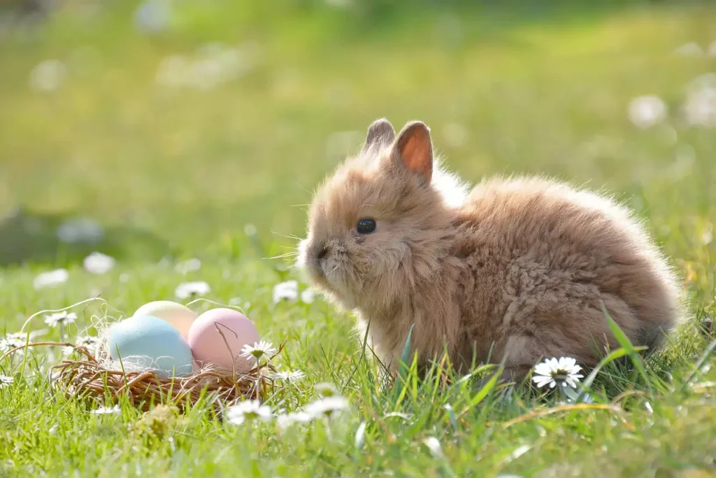 Hase auf einer Wiese mit Ostereiern